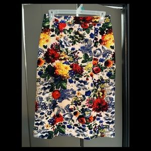 Stitch Fix Pixley Skirt Sz M